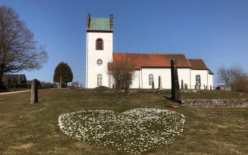 Lökhjärtat vid Stoby kyrka