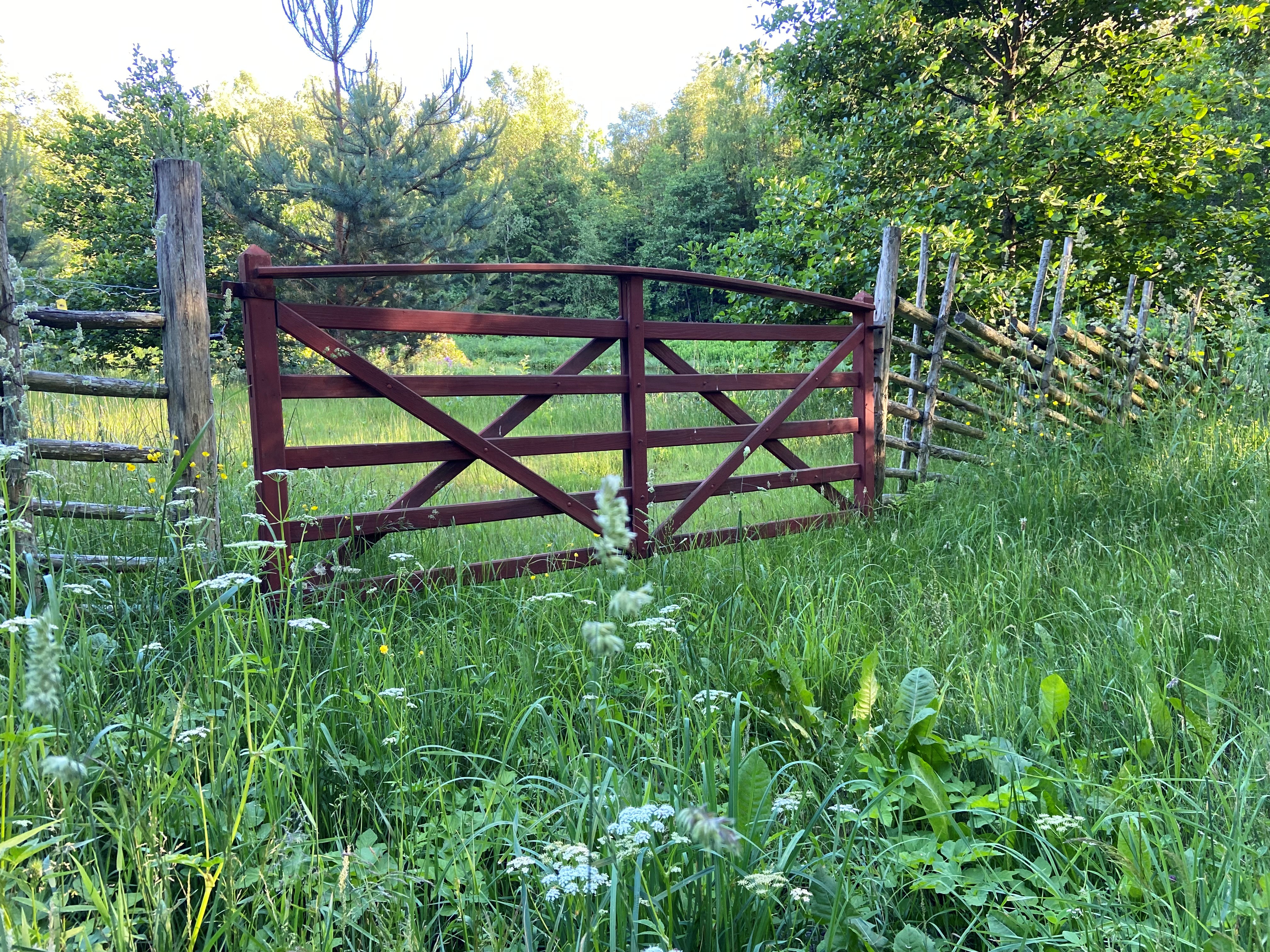 En sommaräng inhägnad av en småländsk gärdesgård och en rödmålad trägrind.