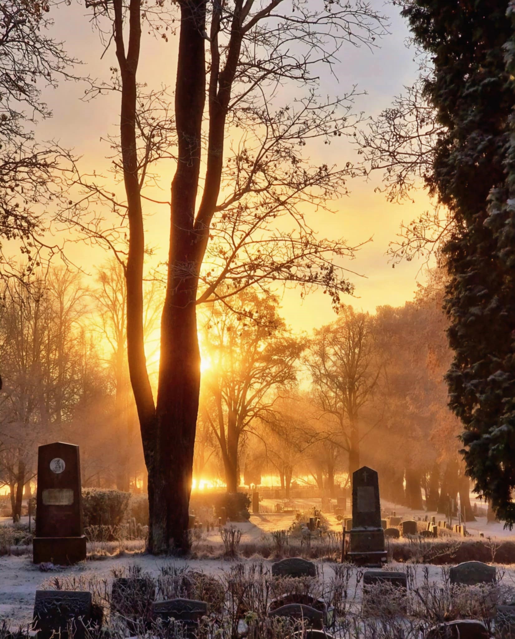 Norrbärke kyrkogård i vintrigt gryningsljus