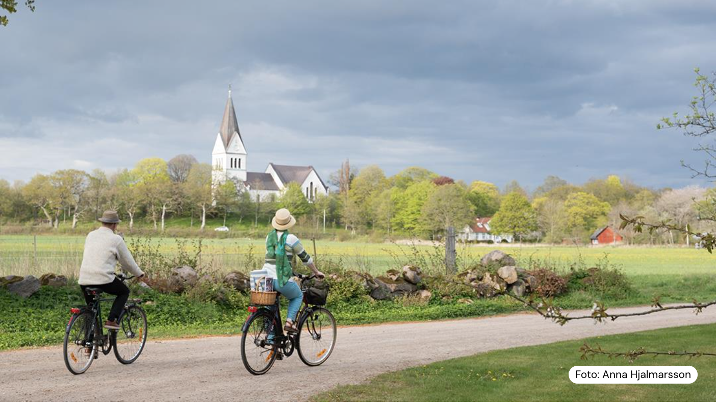 Bild sommarmusikfoldern i cykelkorg