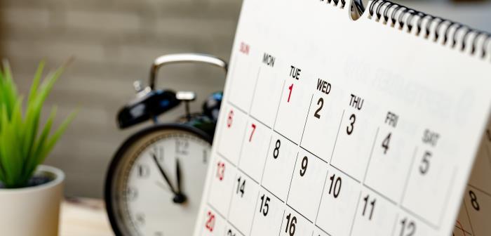 Bordskalender, väckarklocka och en grön krukväxt.