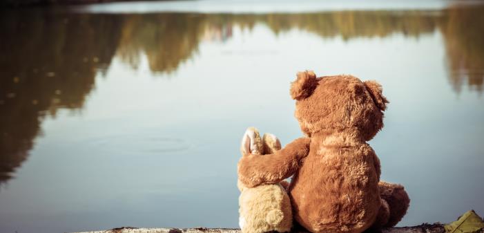 Alla behöver vi någon att prata med ibland. Bilden visar två gosedjur som sitter vid en strand och håller om varandra.