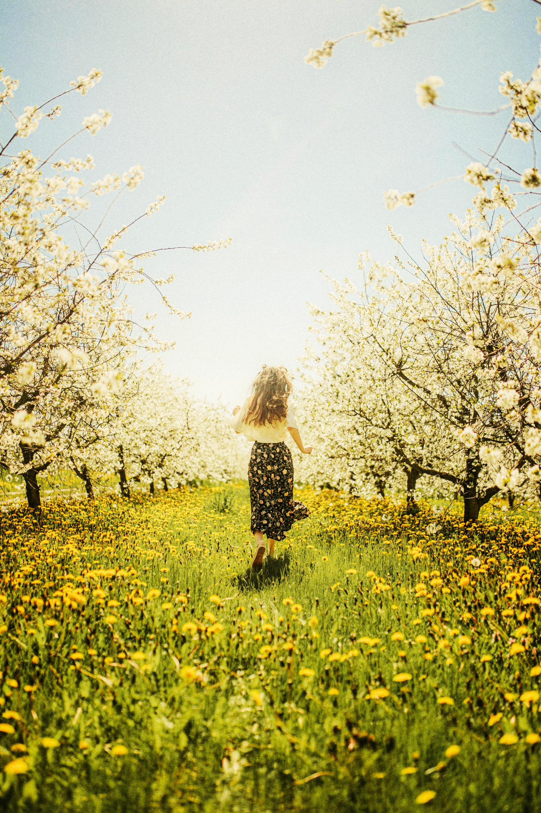 En kvinna springer på en blommande äng omgiven av träd.