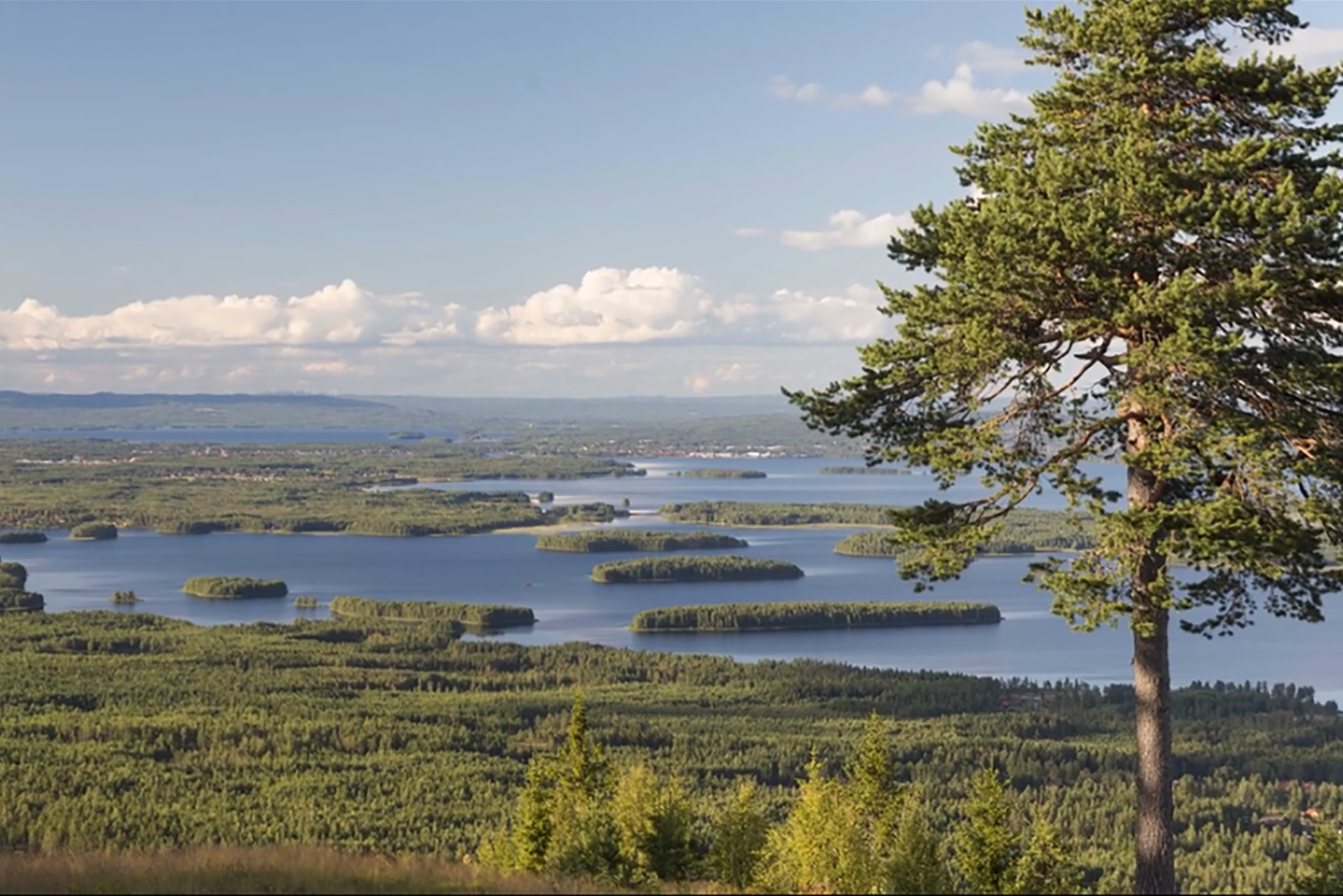 Vi över en skog invid en sjö med små gröna öar. 