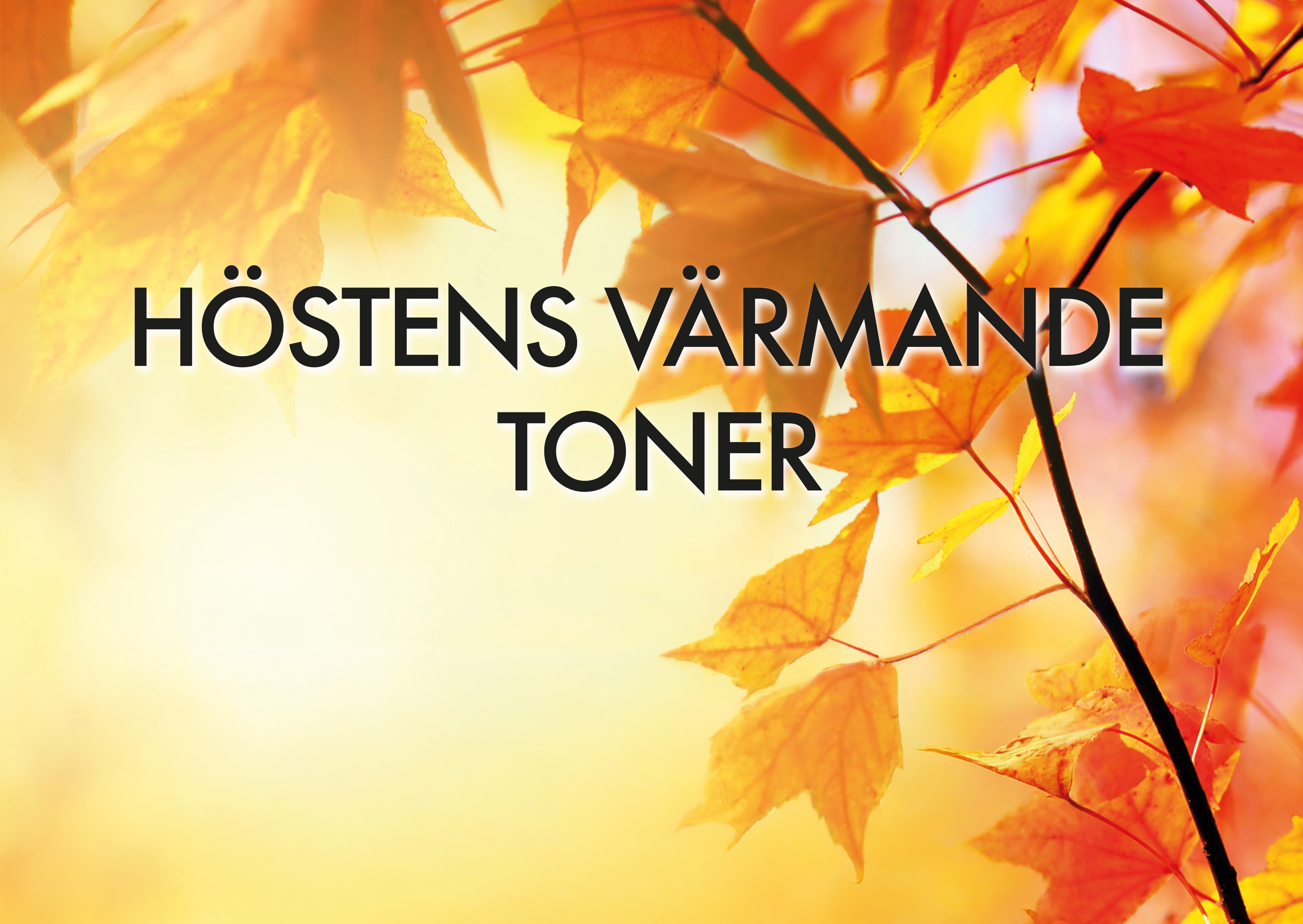 Höstkonsert Farin