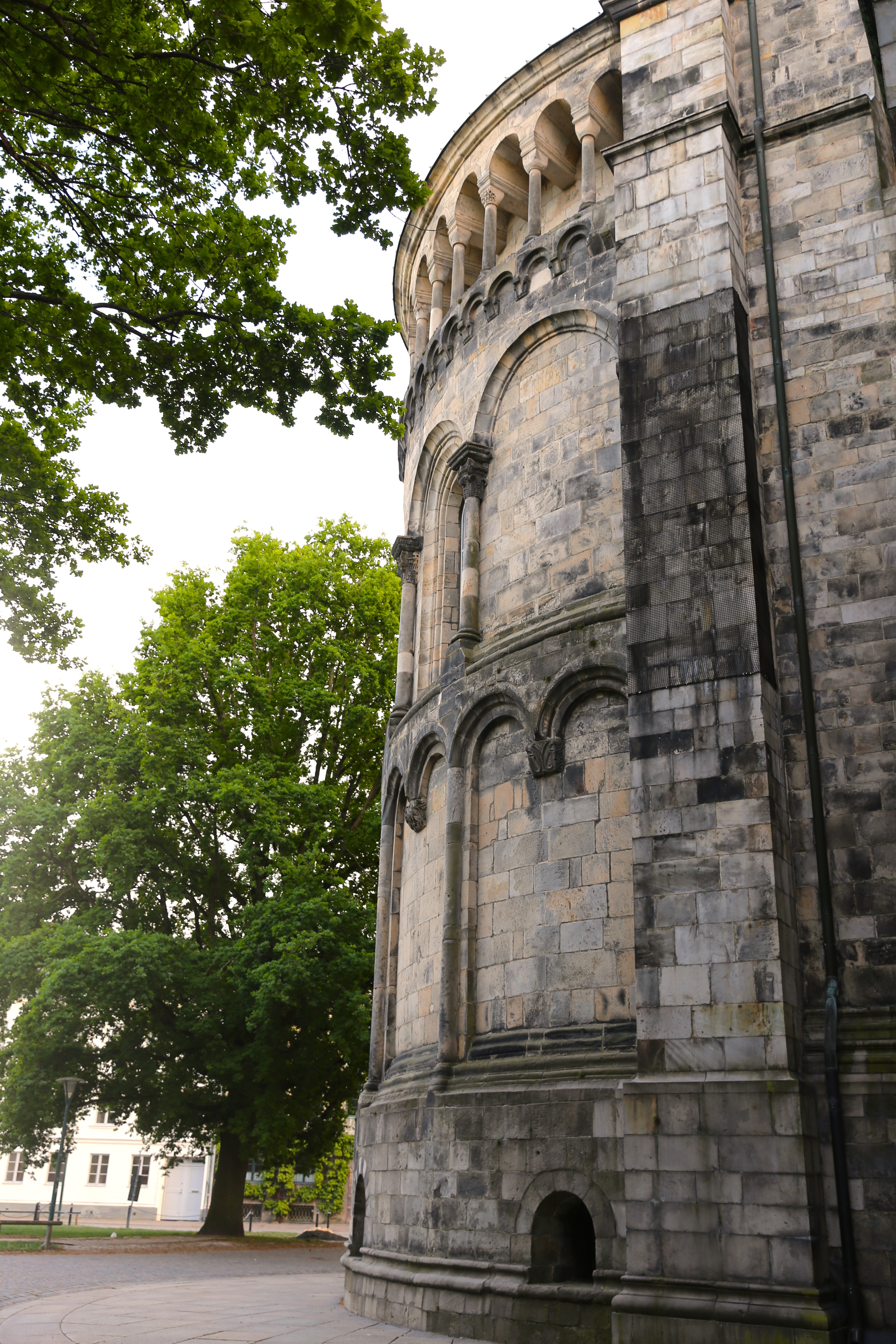 Till vänster finns ett träd med gröna löv och till vänster syns Domkyrkans absid i sten. 