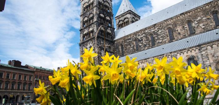 Domkyrkan mot en fond av påskliljor.