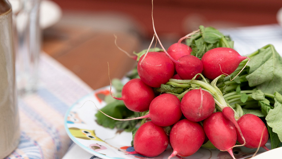Ett knippe rädisor på en tallrik