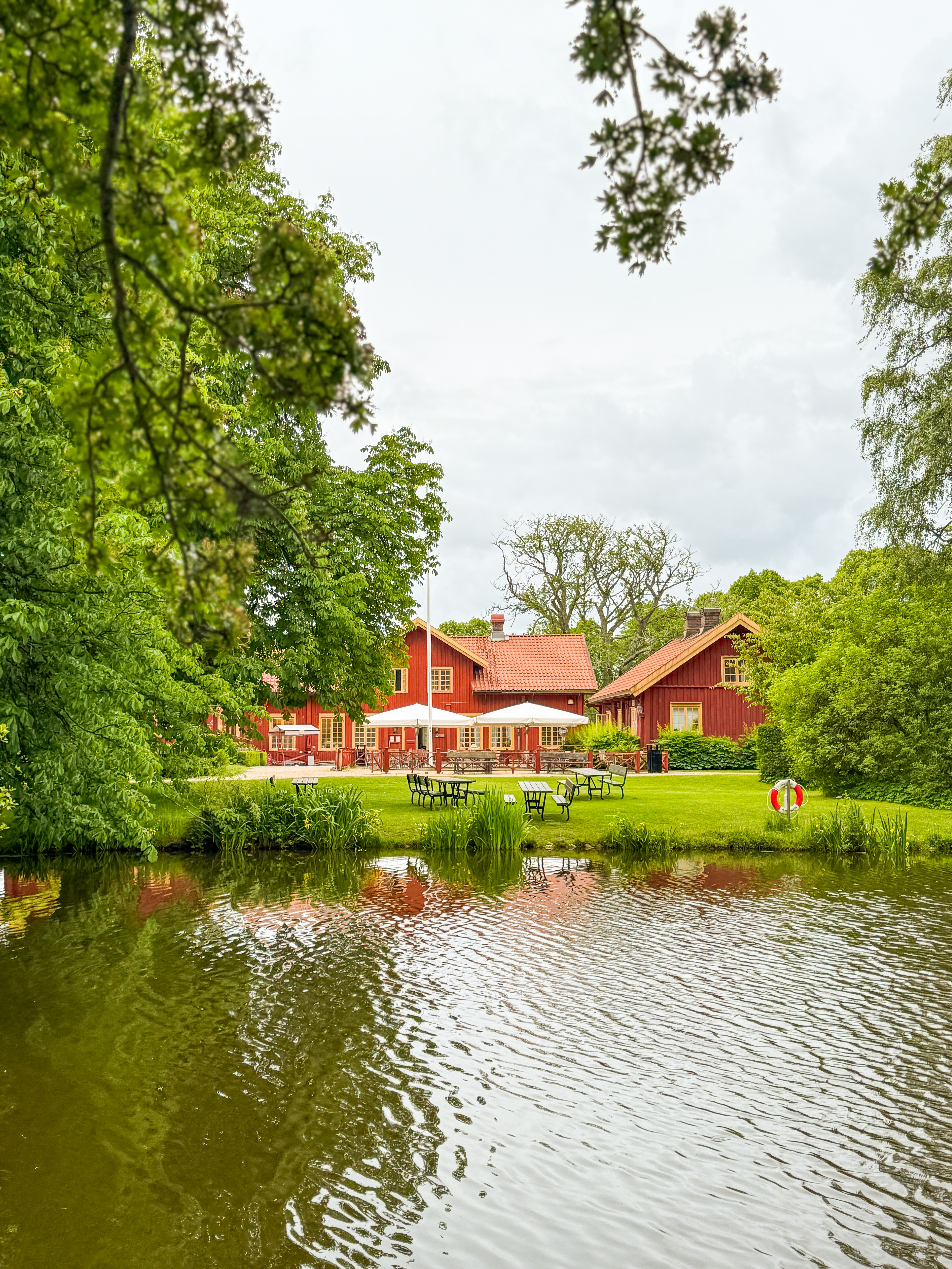 Tjörn