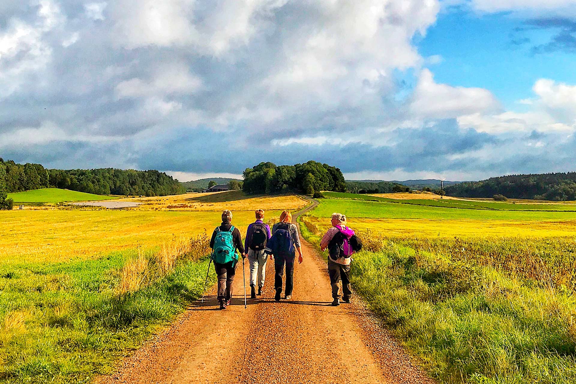 Vandrare går på en grusväg omgiven av ängar. 