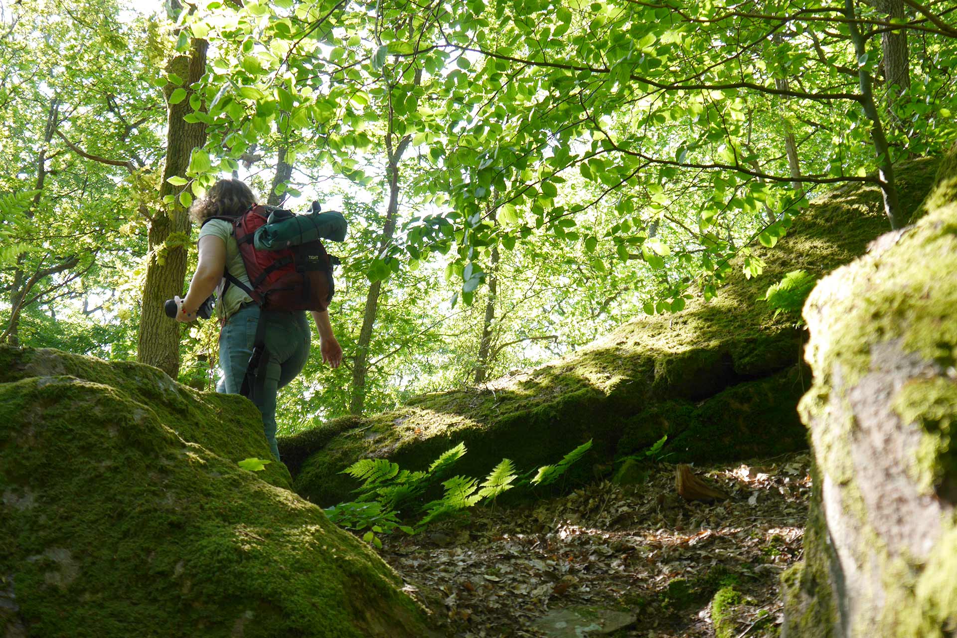 Vandrare på skogsstig i uppförsbacke. 