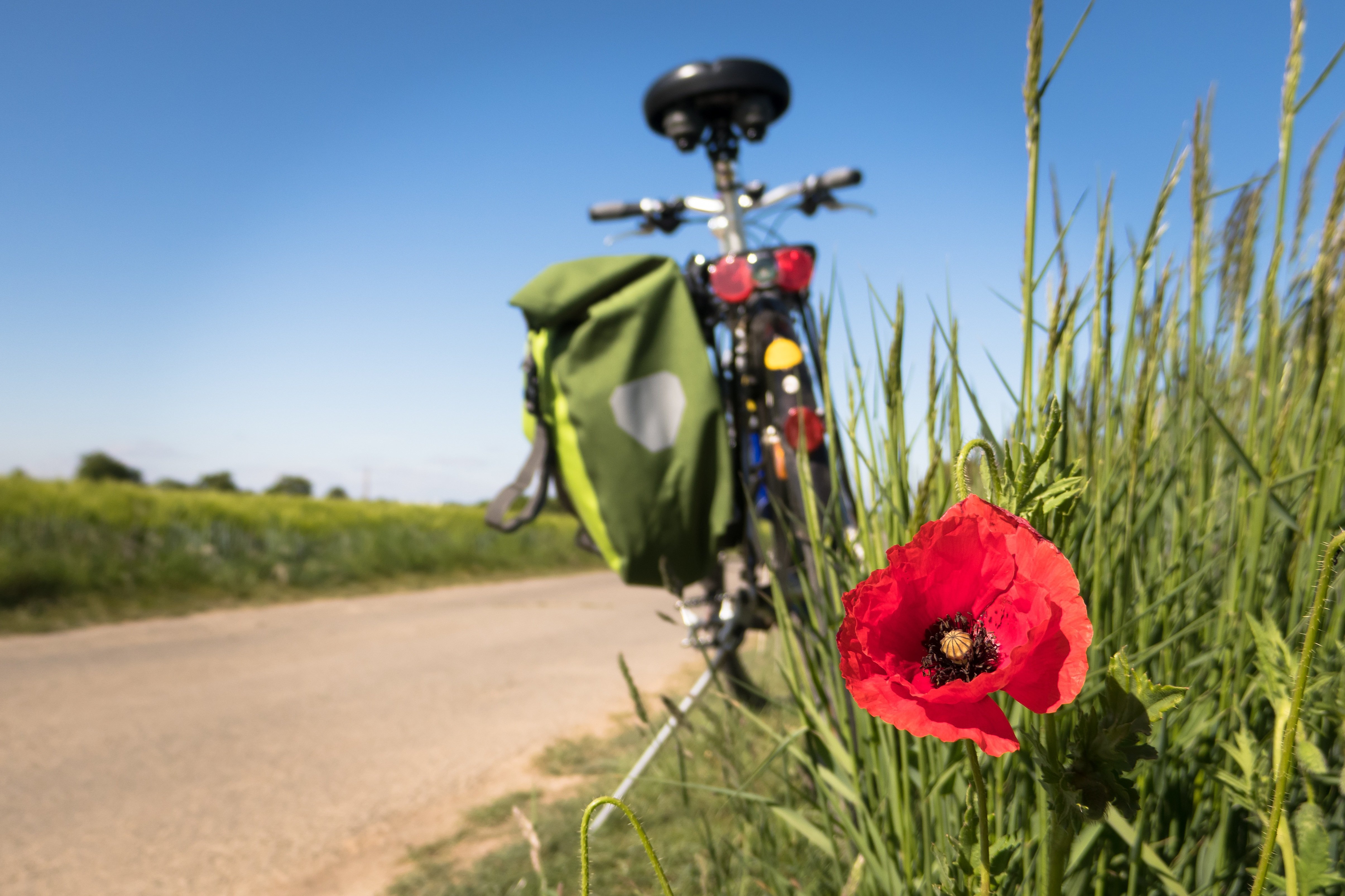 Sonnige Strasse, Mohnblume, Fahrrad