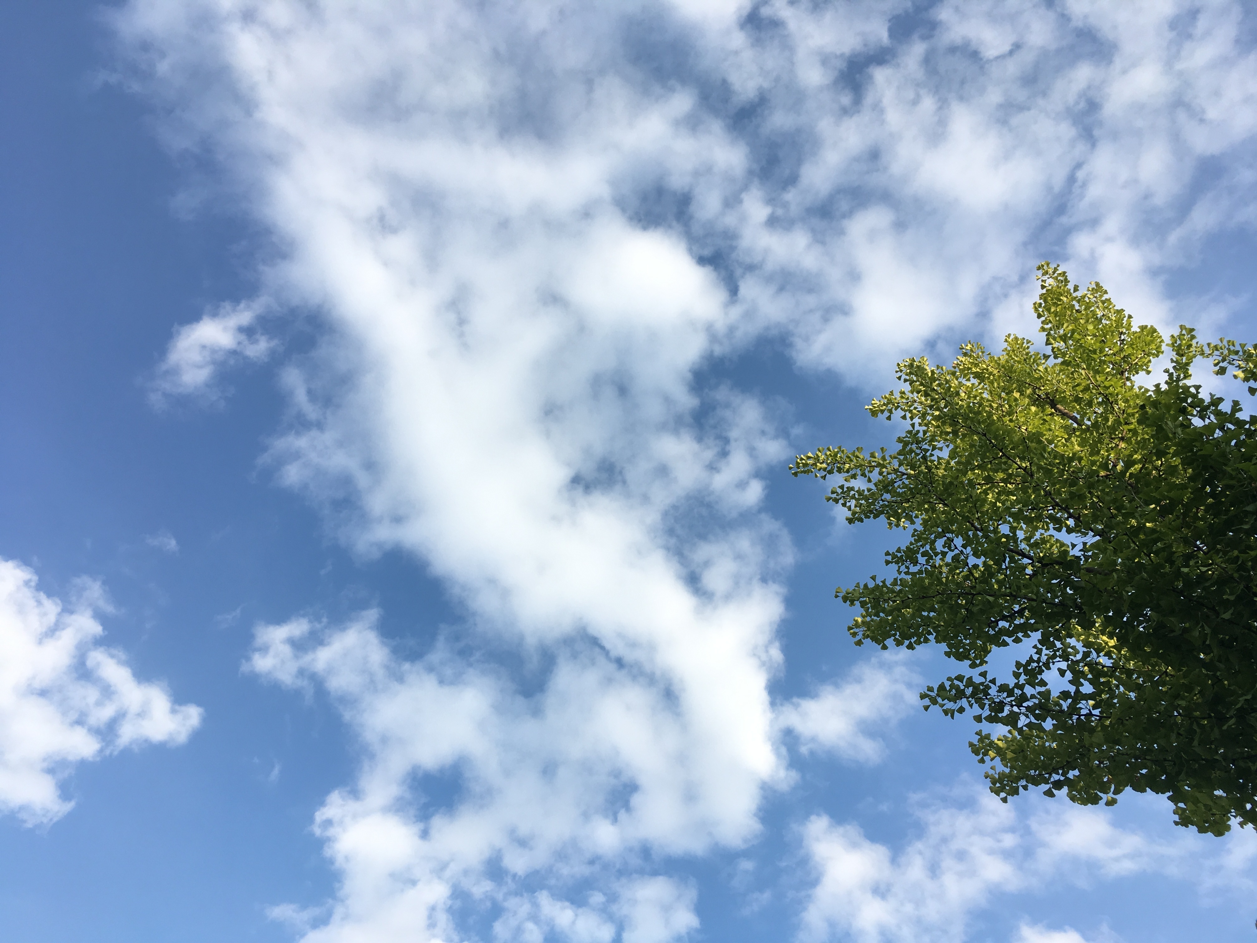 Wolken am Himmel