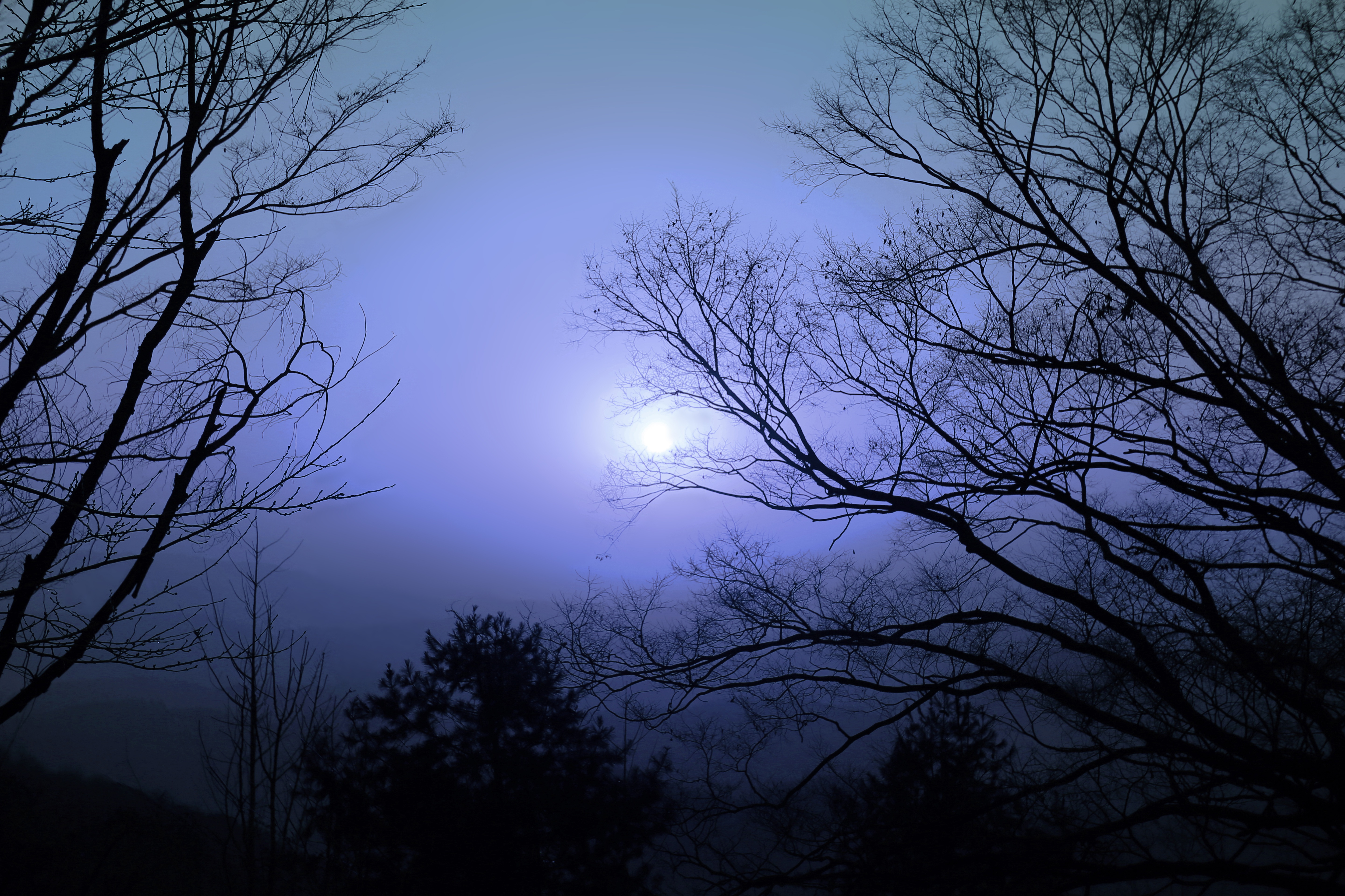 Mond