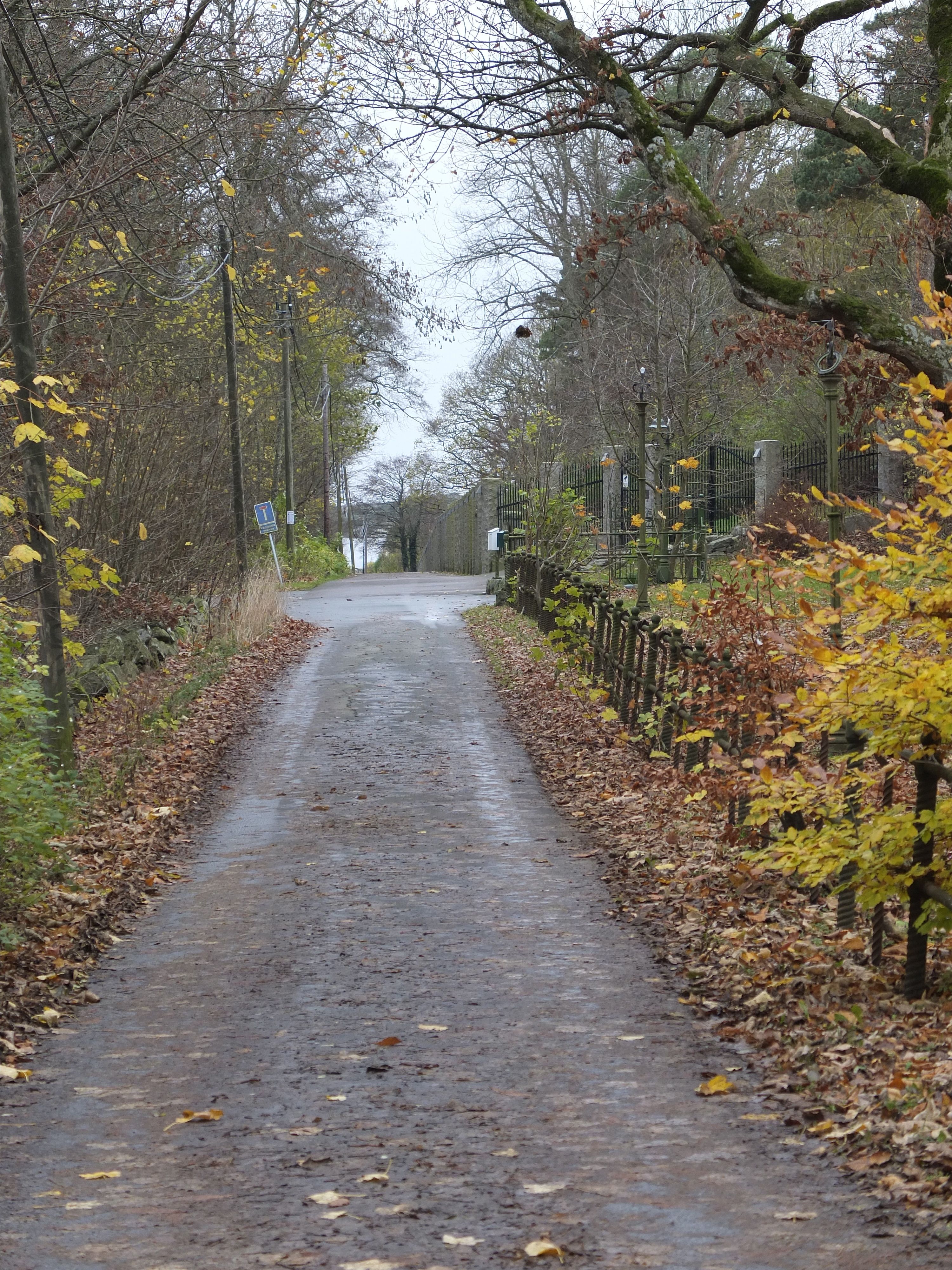 Höstväg