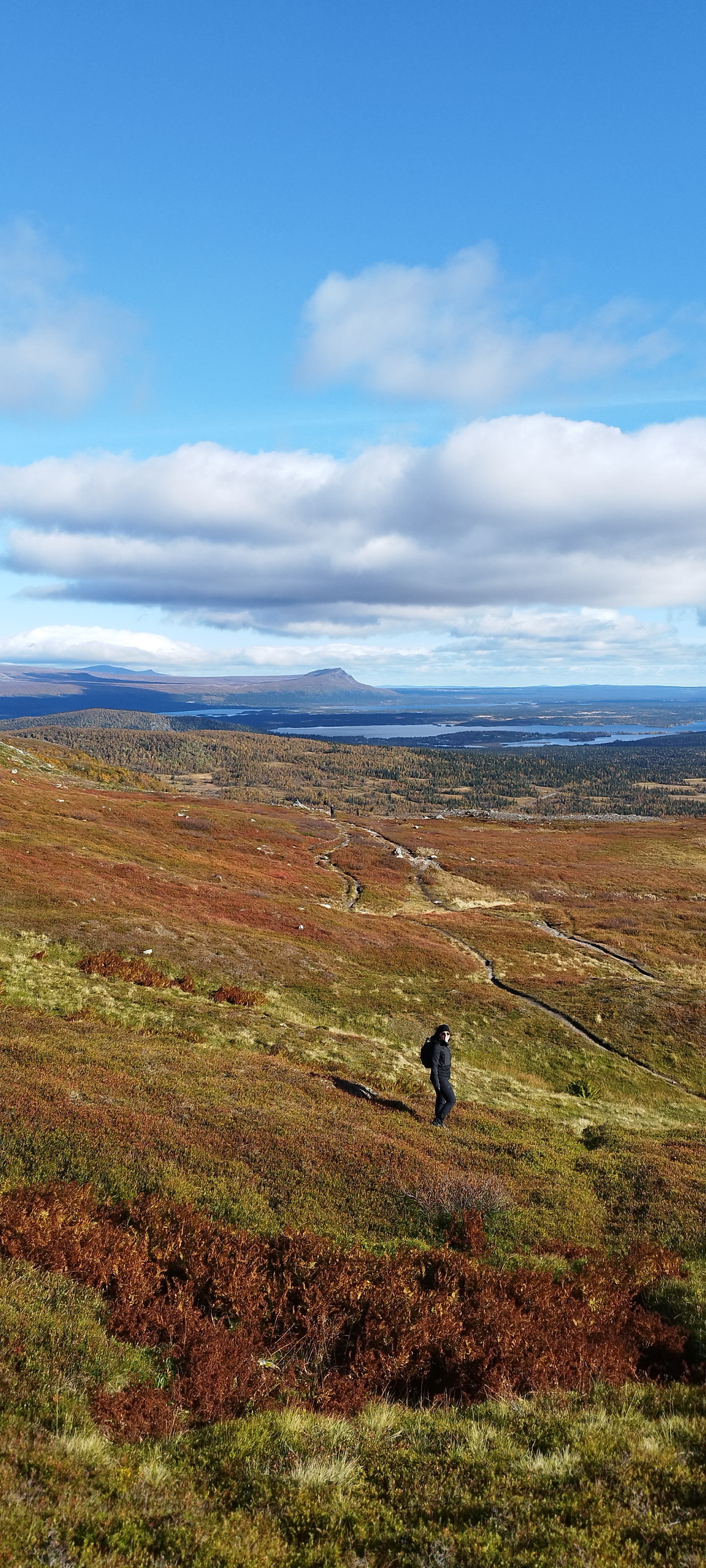 Satsfjället, saxnäs