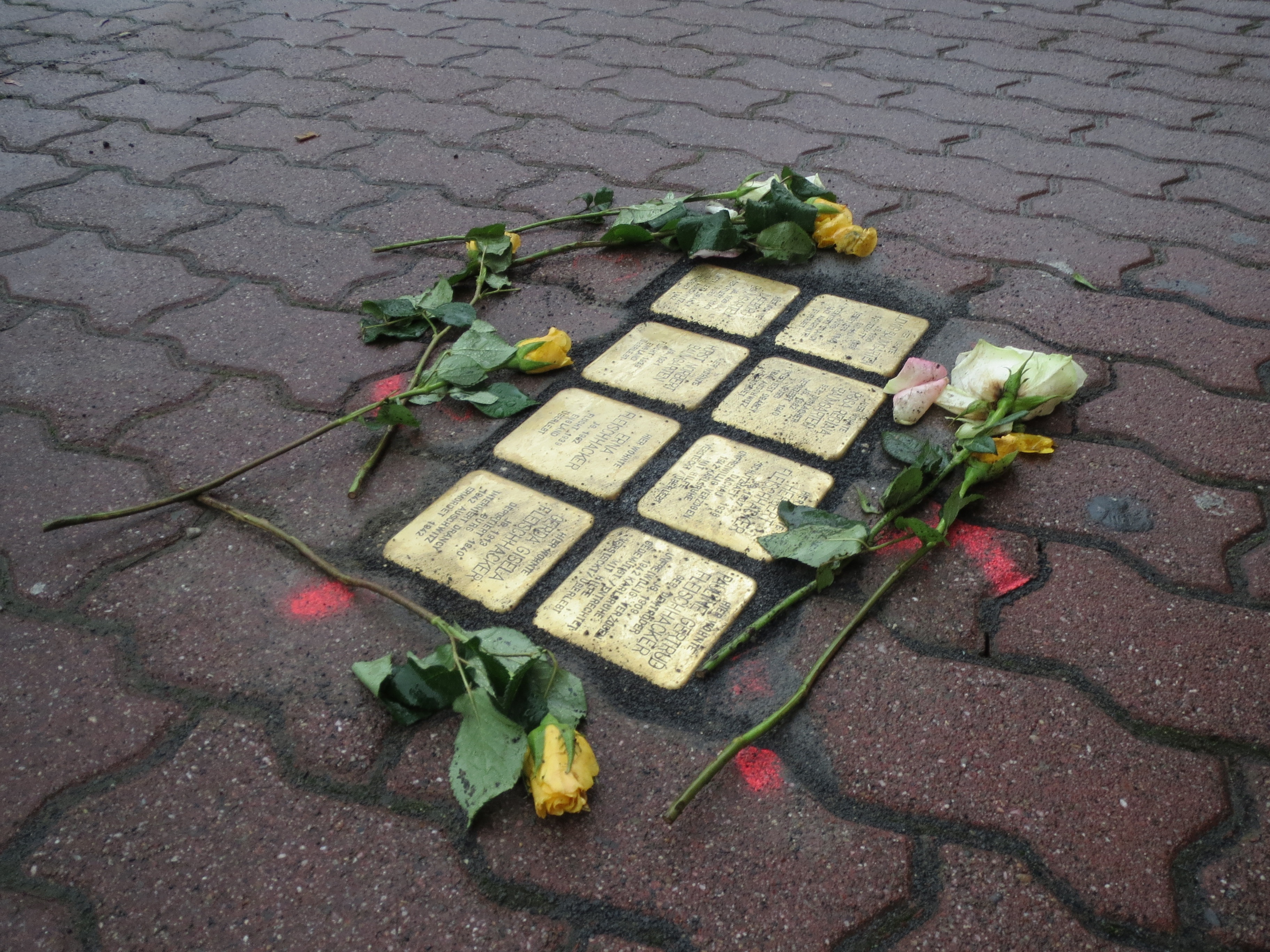 Stolpersteine som de ser ut på många av Europas gator.