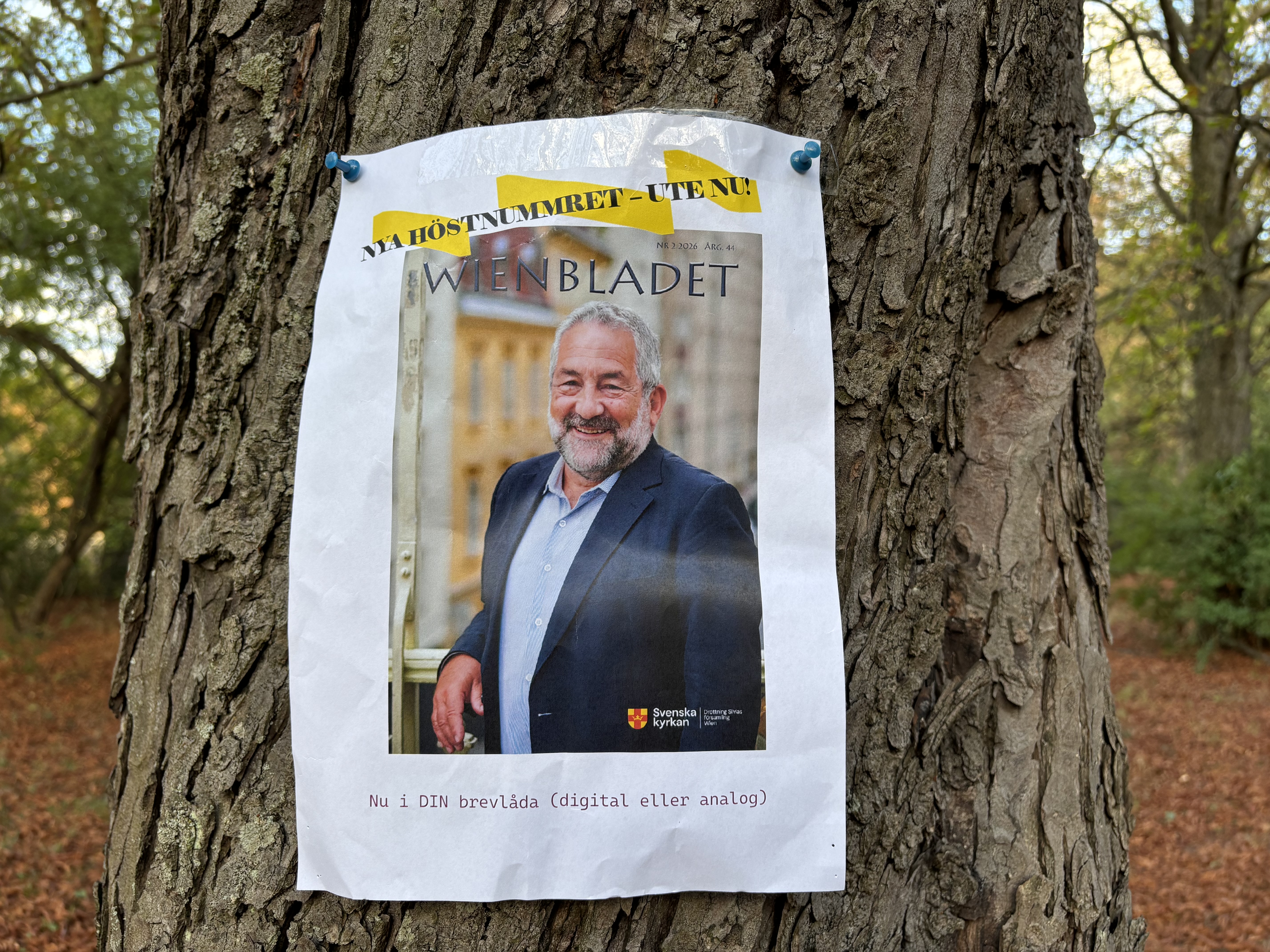 Plakat för Wienbladet 2 2026