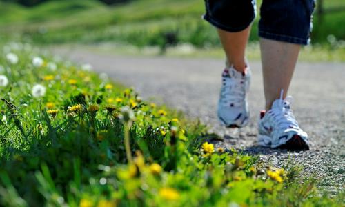 promenad i somrigt landskap