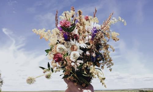Syntolkning: vilda blommor i olika färger i en bukett. Bakgrund: blå himmel.