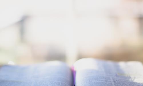 Syntolkning: uppslagen bibel, ljus bakgrund. Ett kors kan anas.