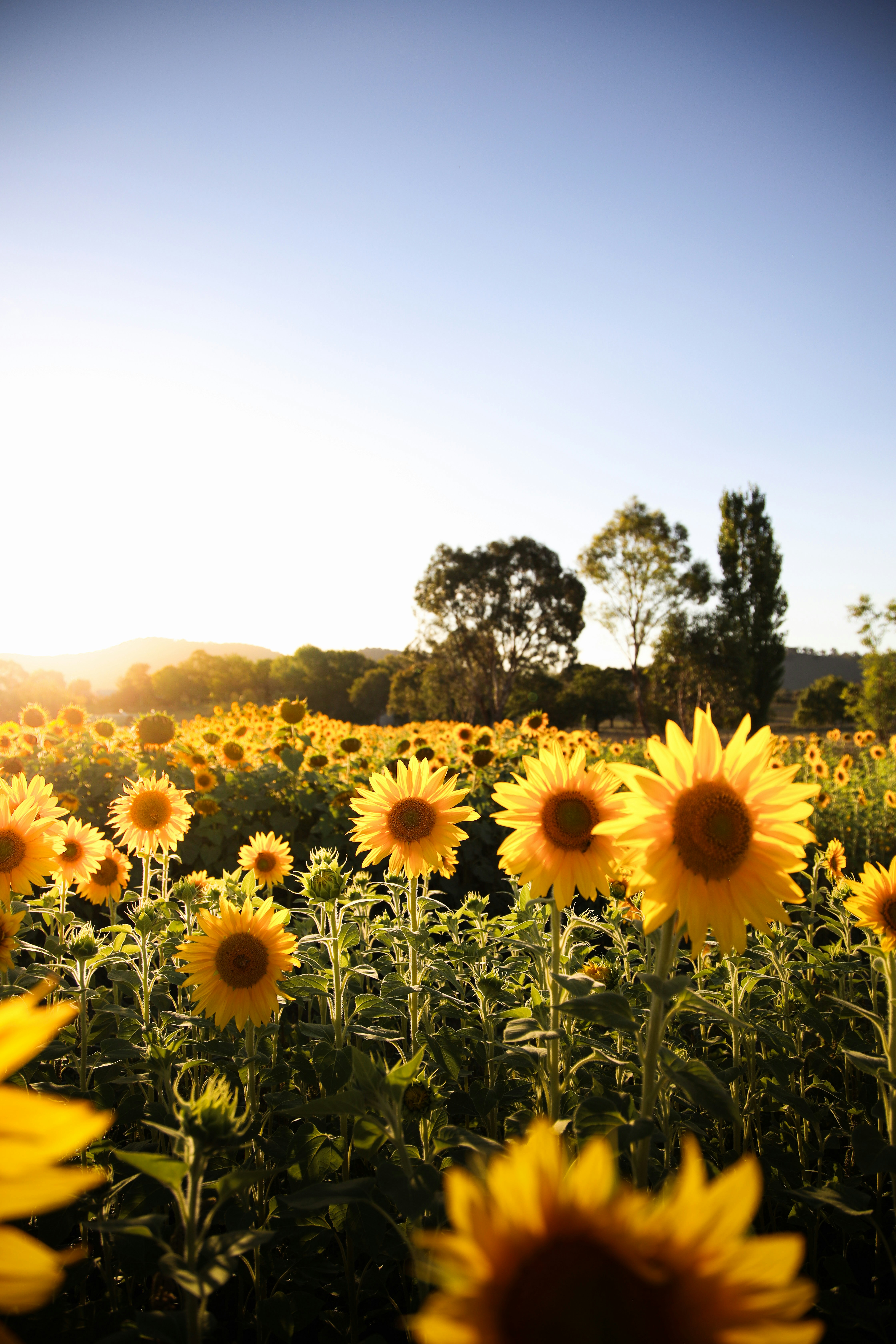 daniel-morton-jones-oQ61o_R8QfM-unsplash