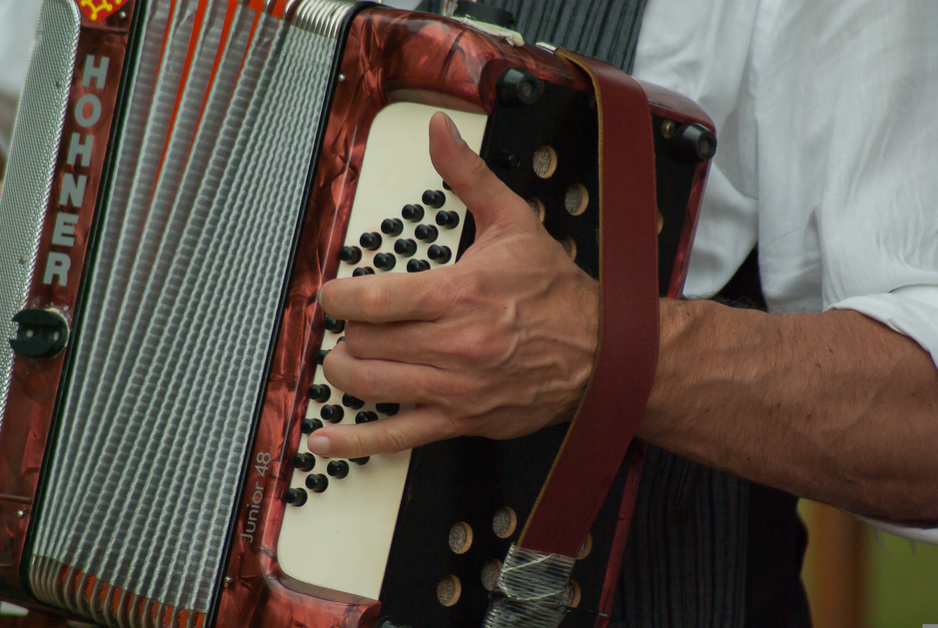 jackmac34-musician-2370079