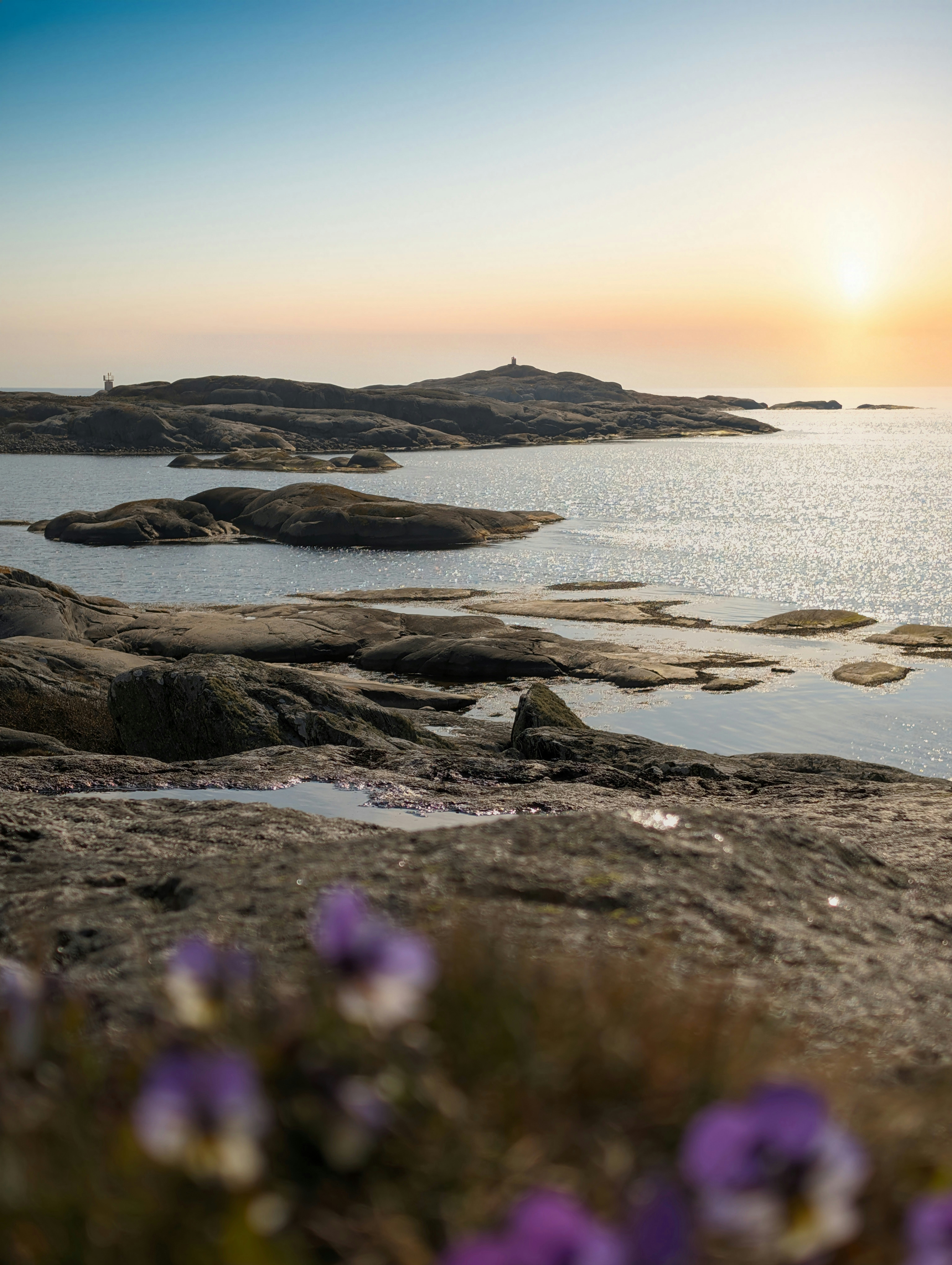 jakub-vavra-7vlGmq6kjCY-unsplash
