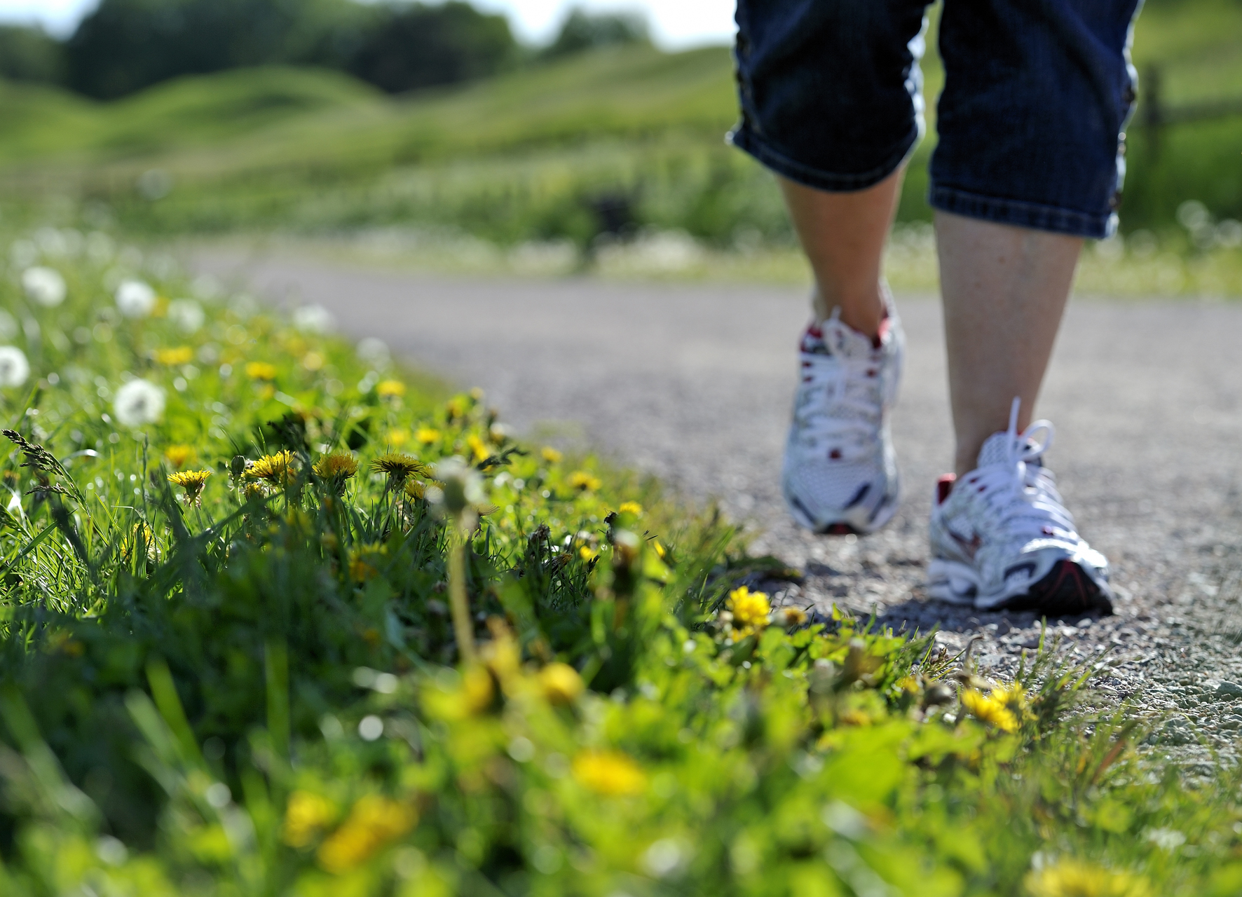 Pilgrimsvandring