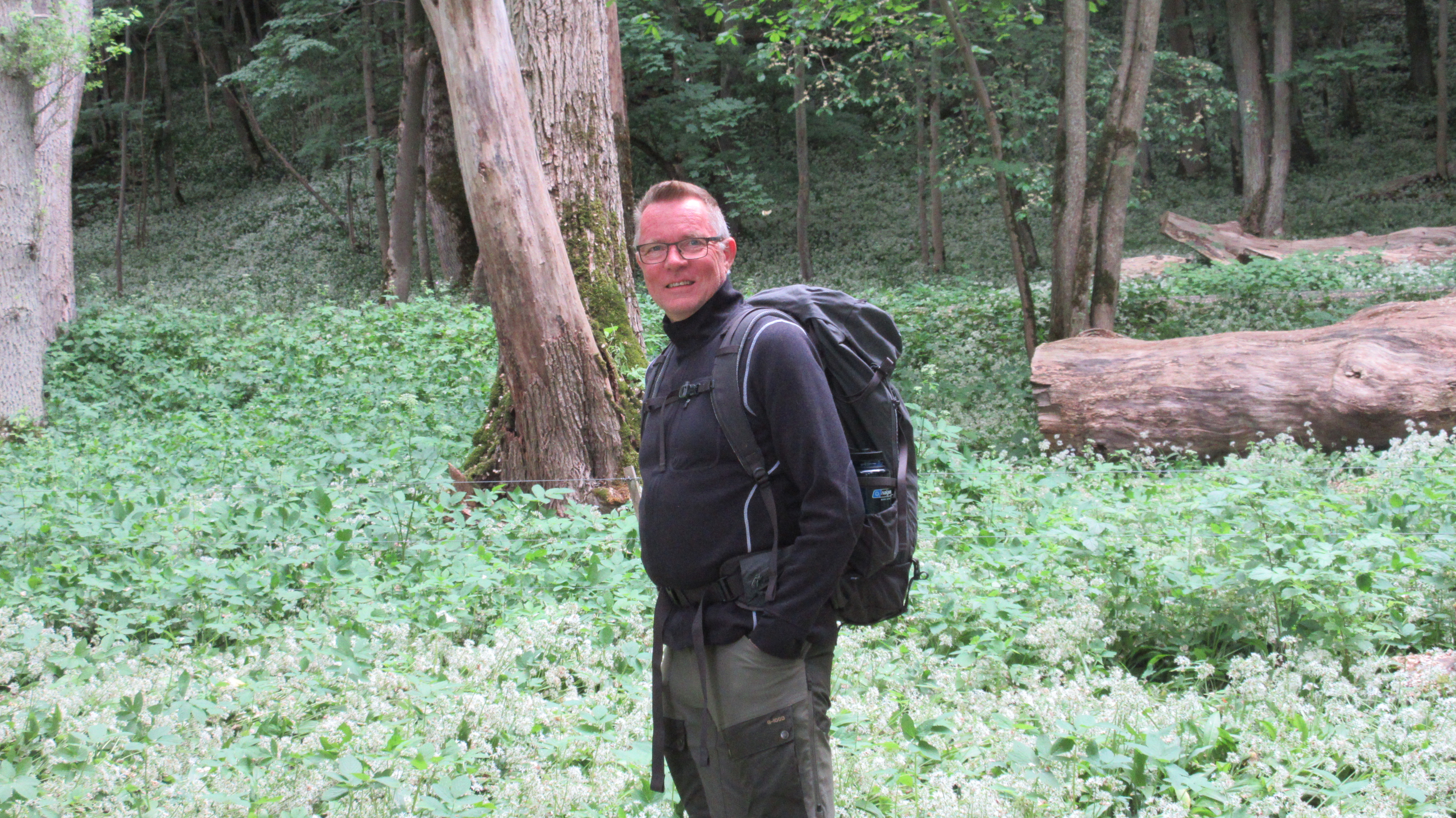 Sven-Erik Perlman Aspeklev