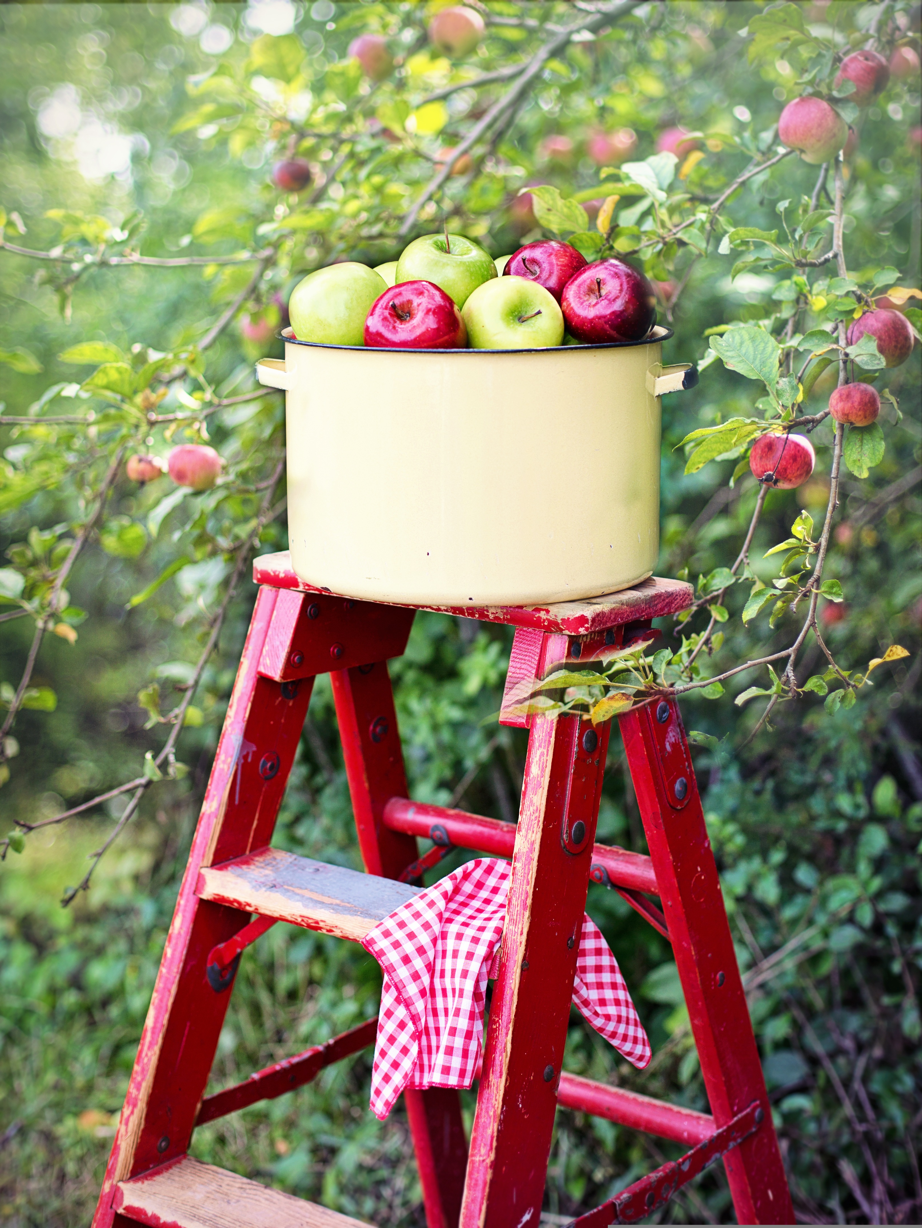äpple