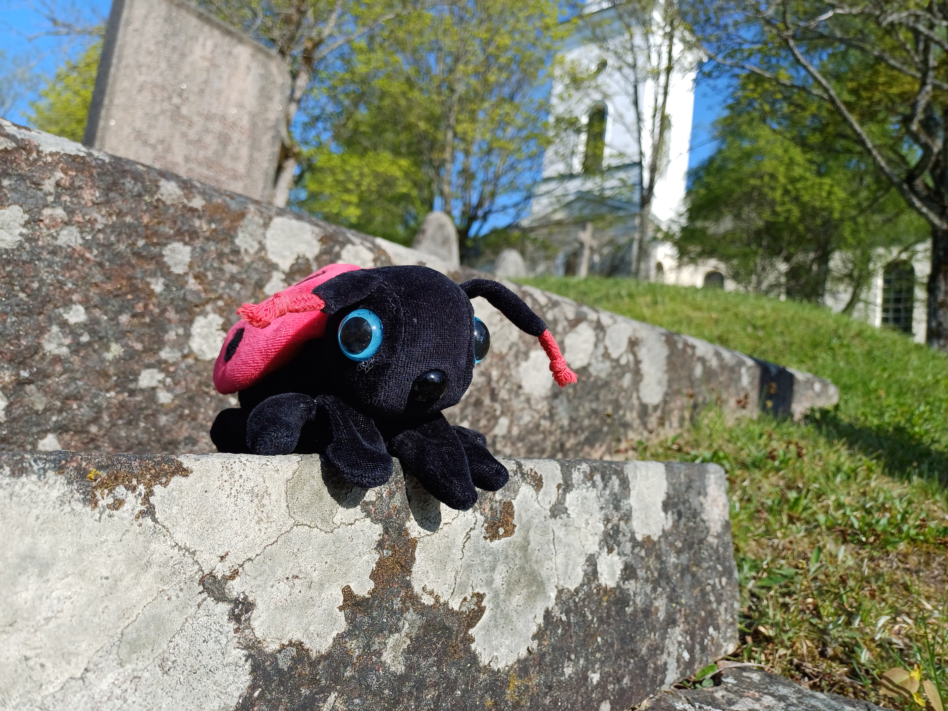 Nyckelpiga framför Tösse kyrka