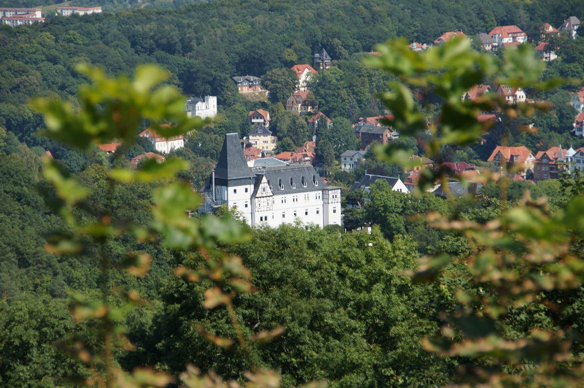 ett vitt slott i en grön skog