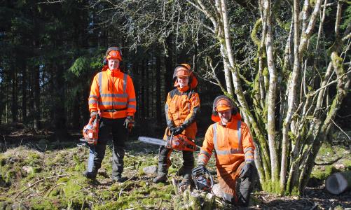 Natur- och kulturvårdsarbete på Bökås Övre och Nedre gamla tomt i Vessige församling i Halland.