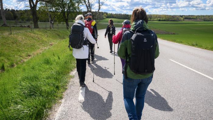 Pilgrimsvandring