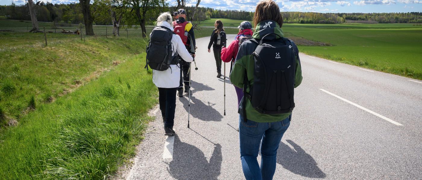 Pilgrimsvandring