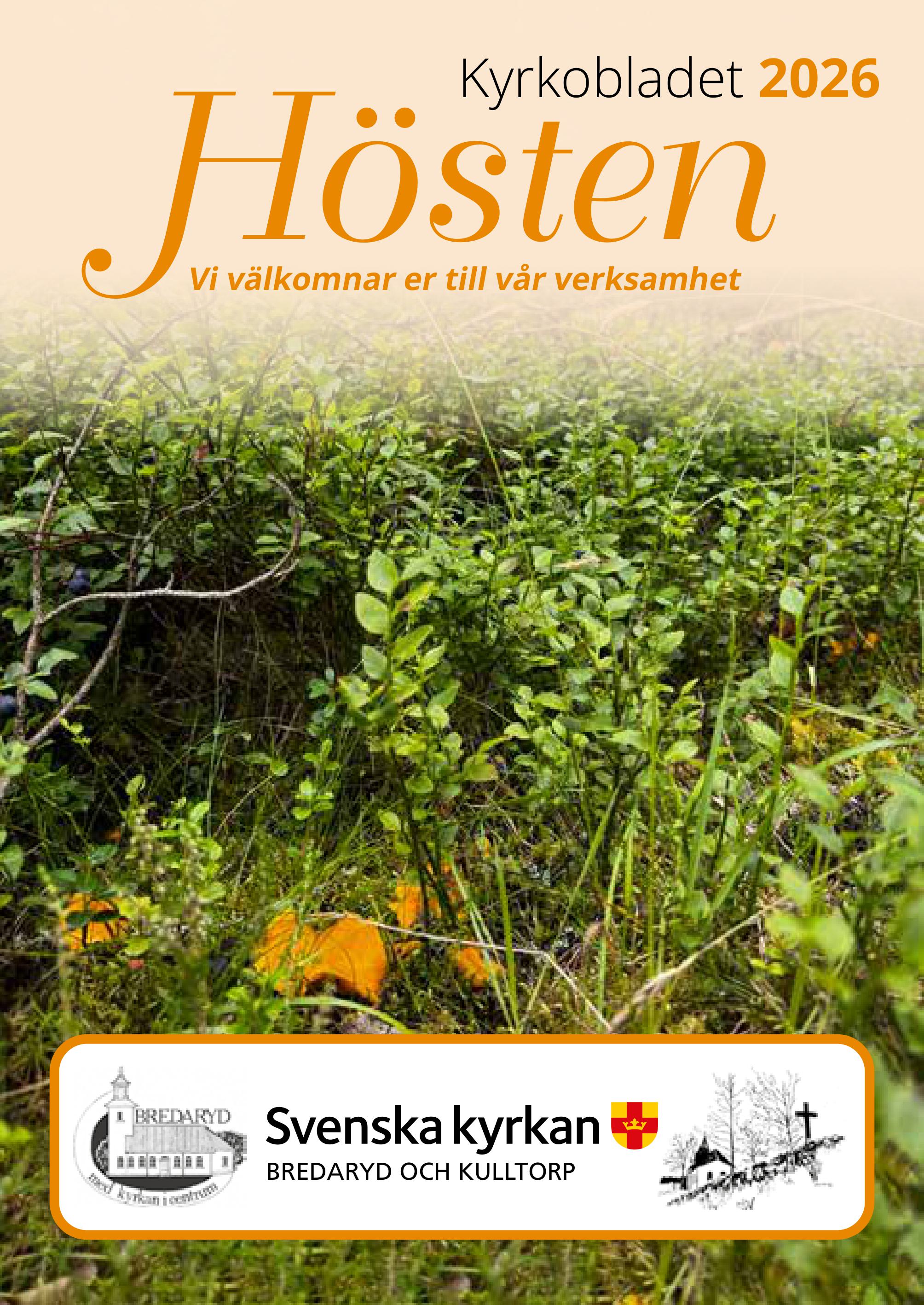 Höst