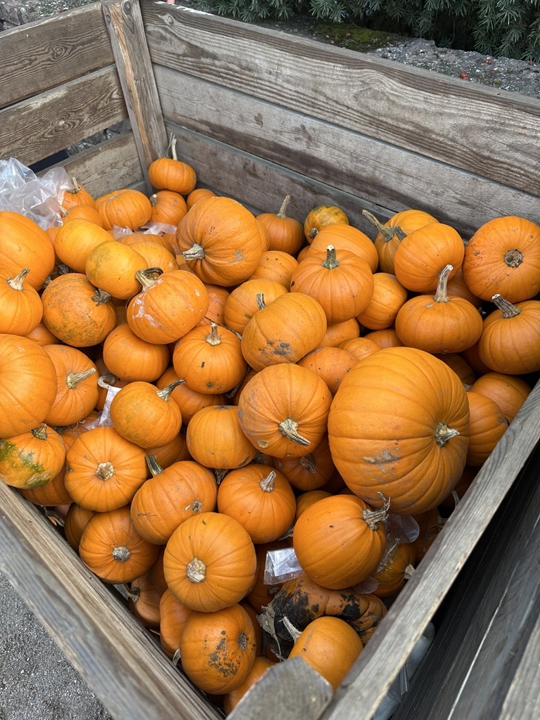 Pumpa