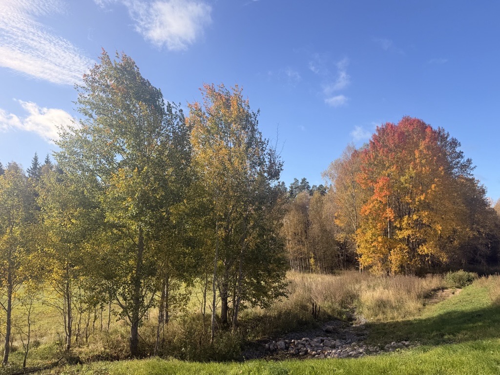 Höst i Byarum