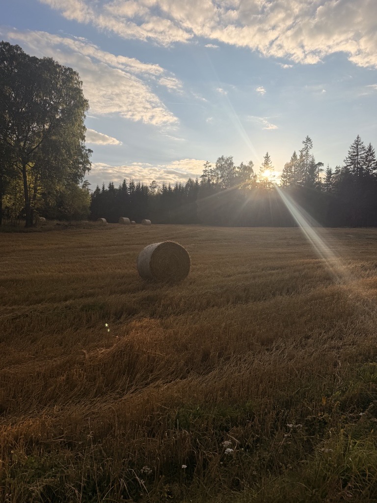 Solnedgång
