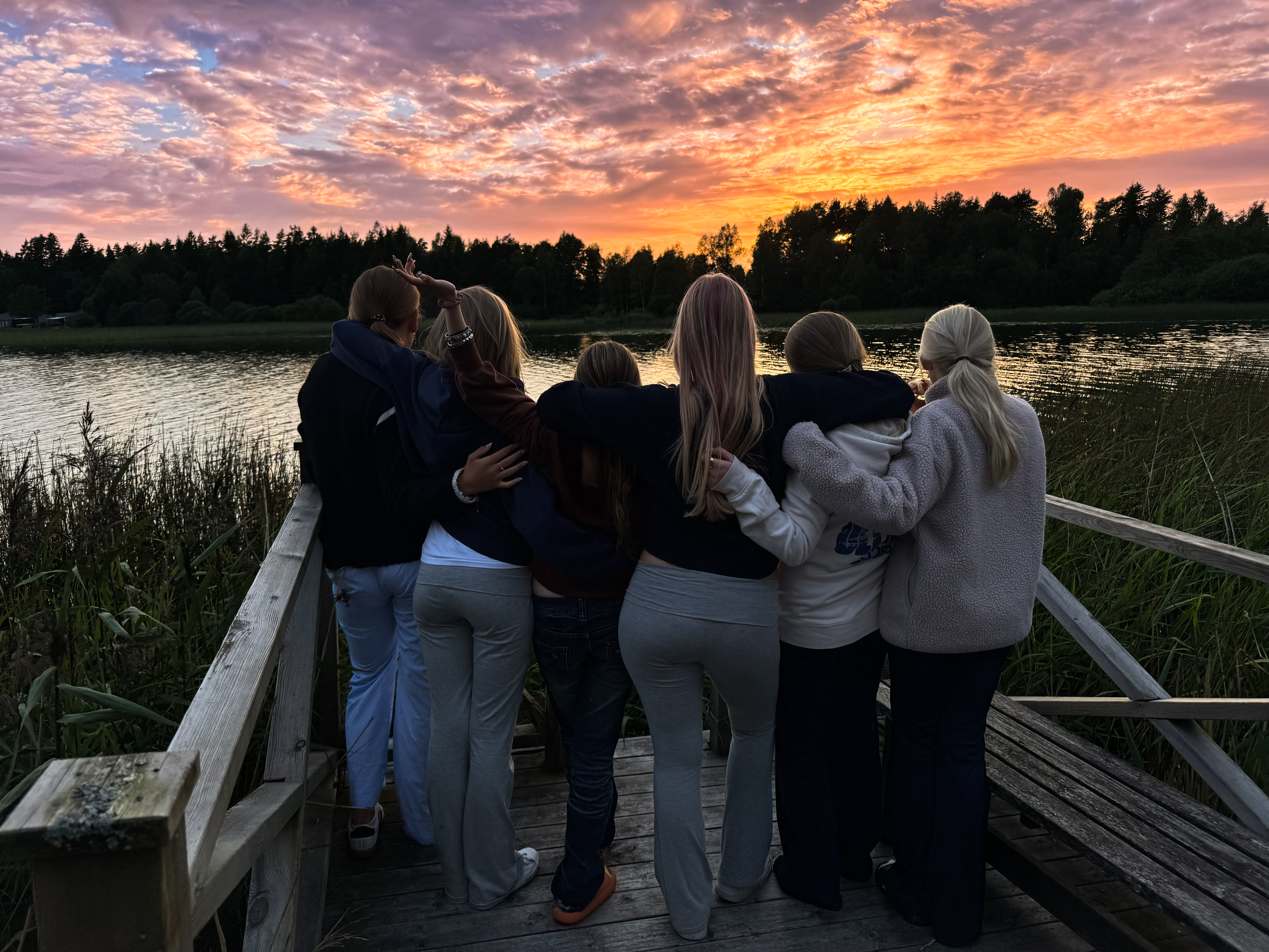 Tallnäs 2025