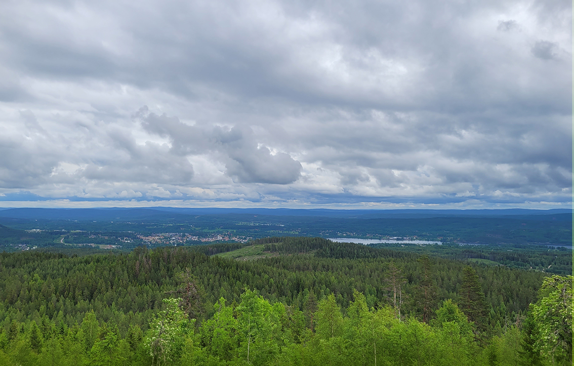 gräsberget