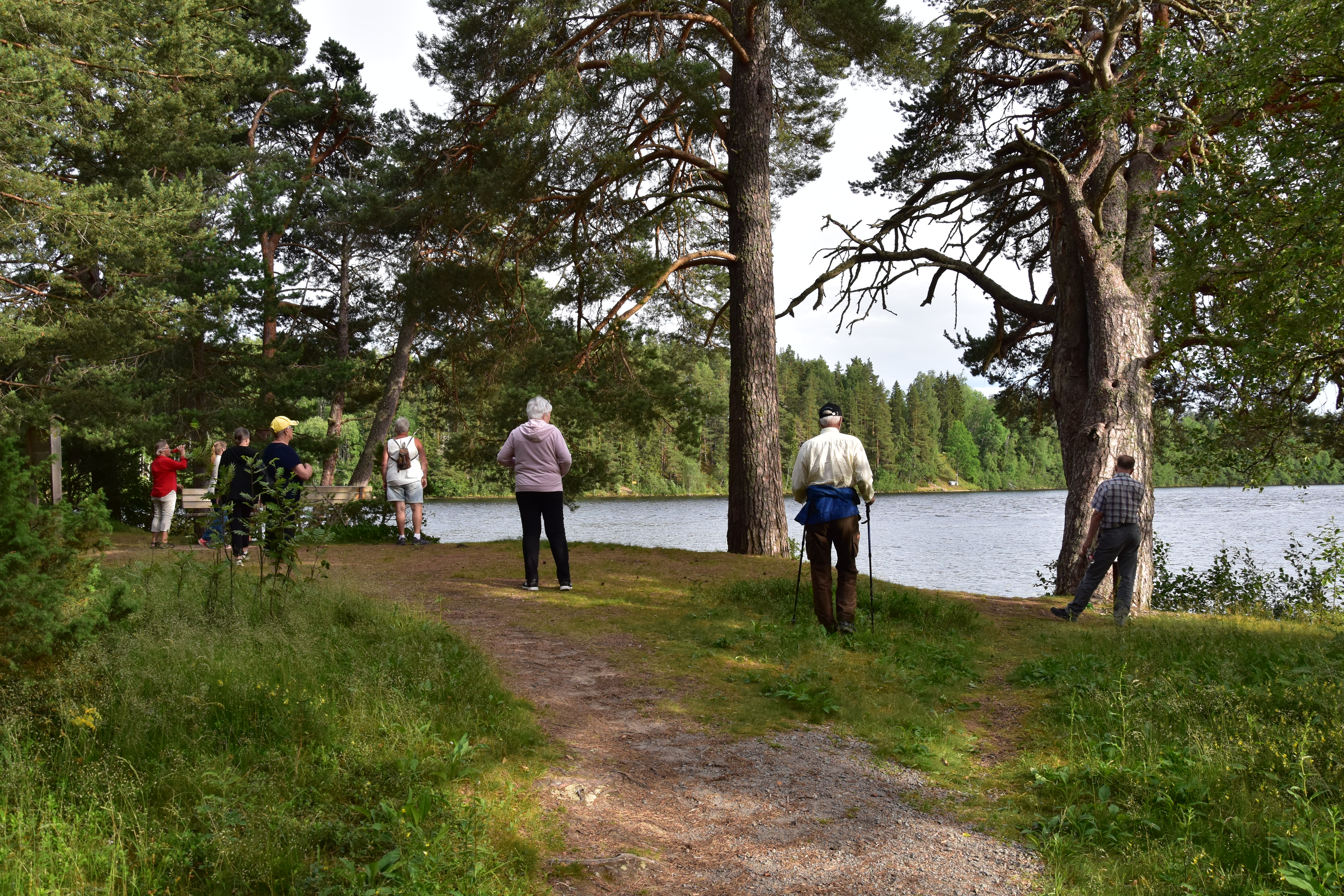 Kyrköns naturstig