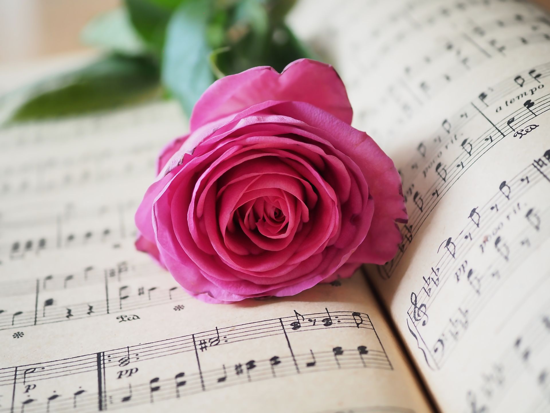 musik