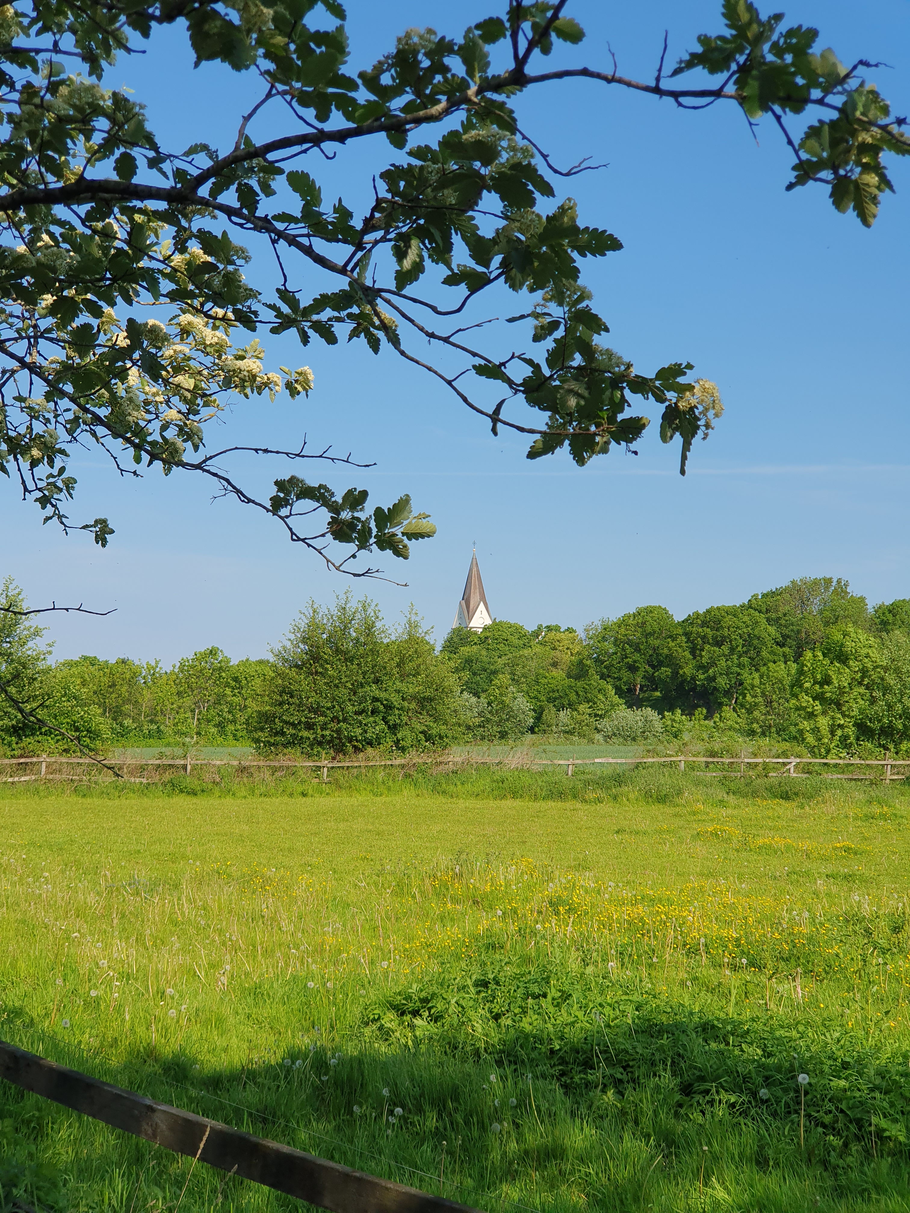 Sommarmusiken Harplinge Steninge