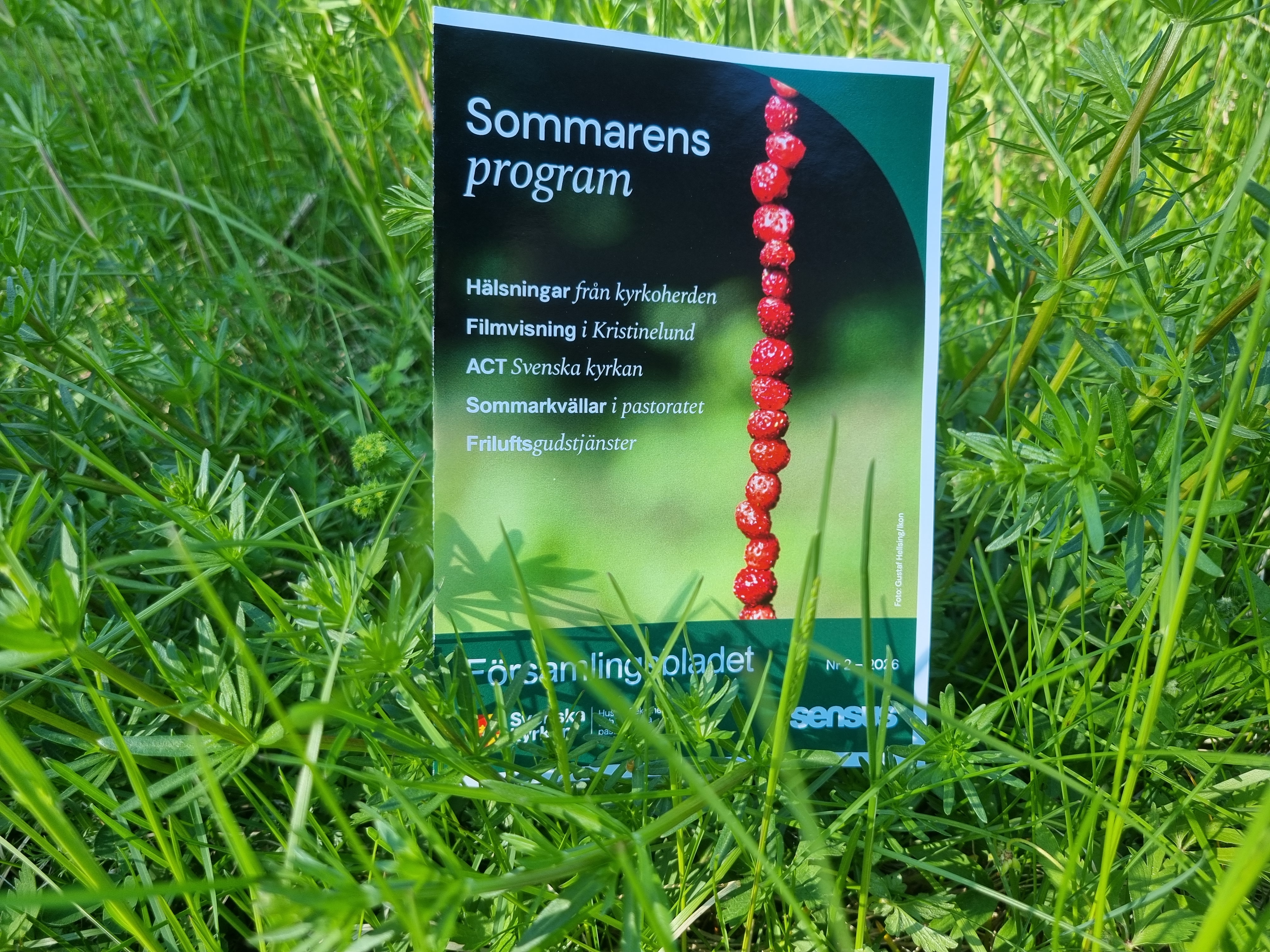 Sommarens församlingsblad fotat i gräset