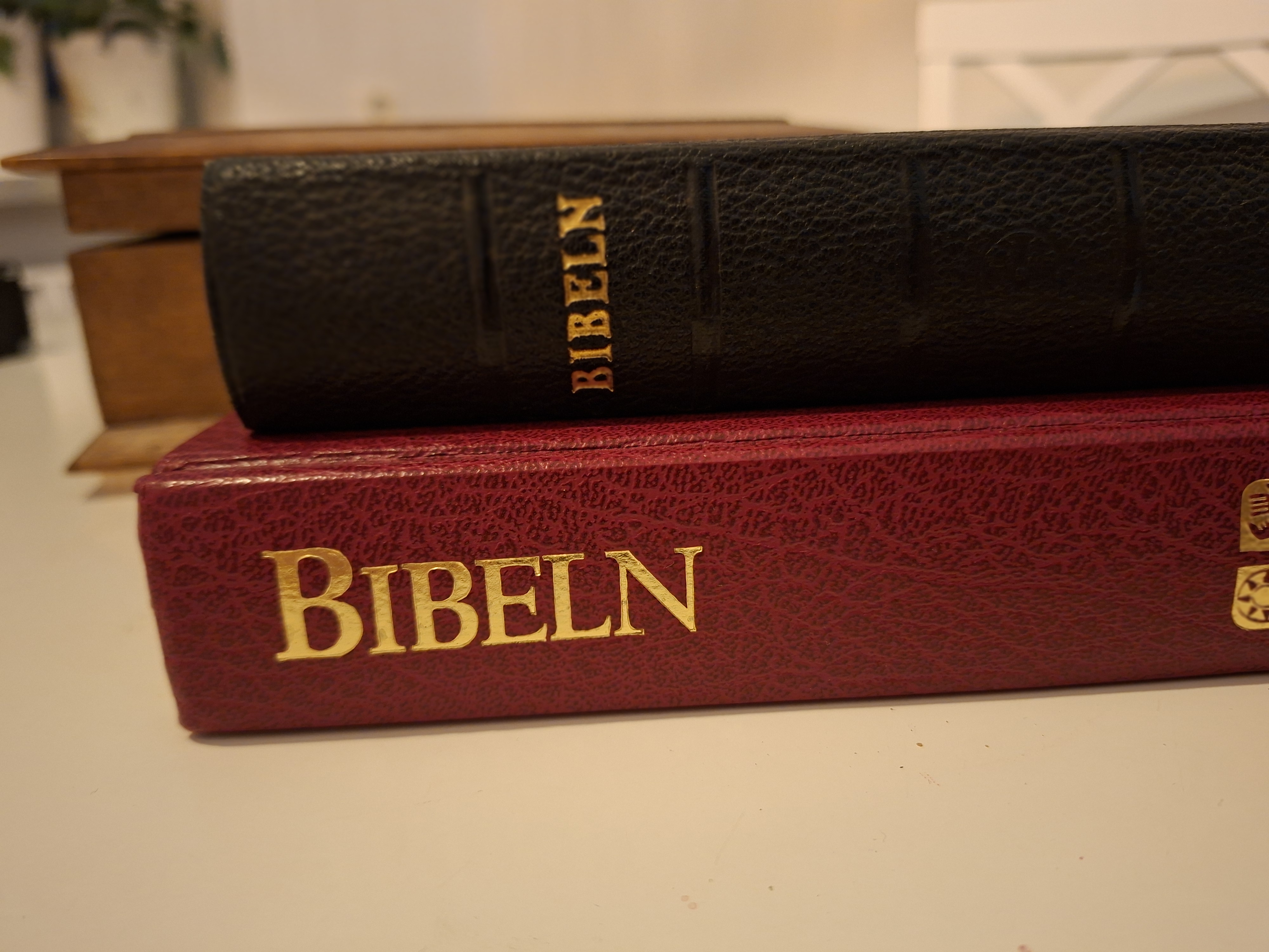 Biblar