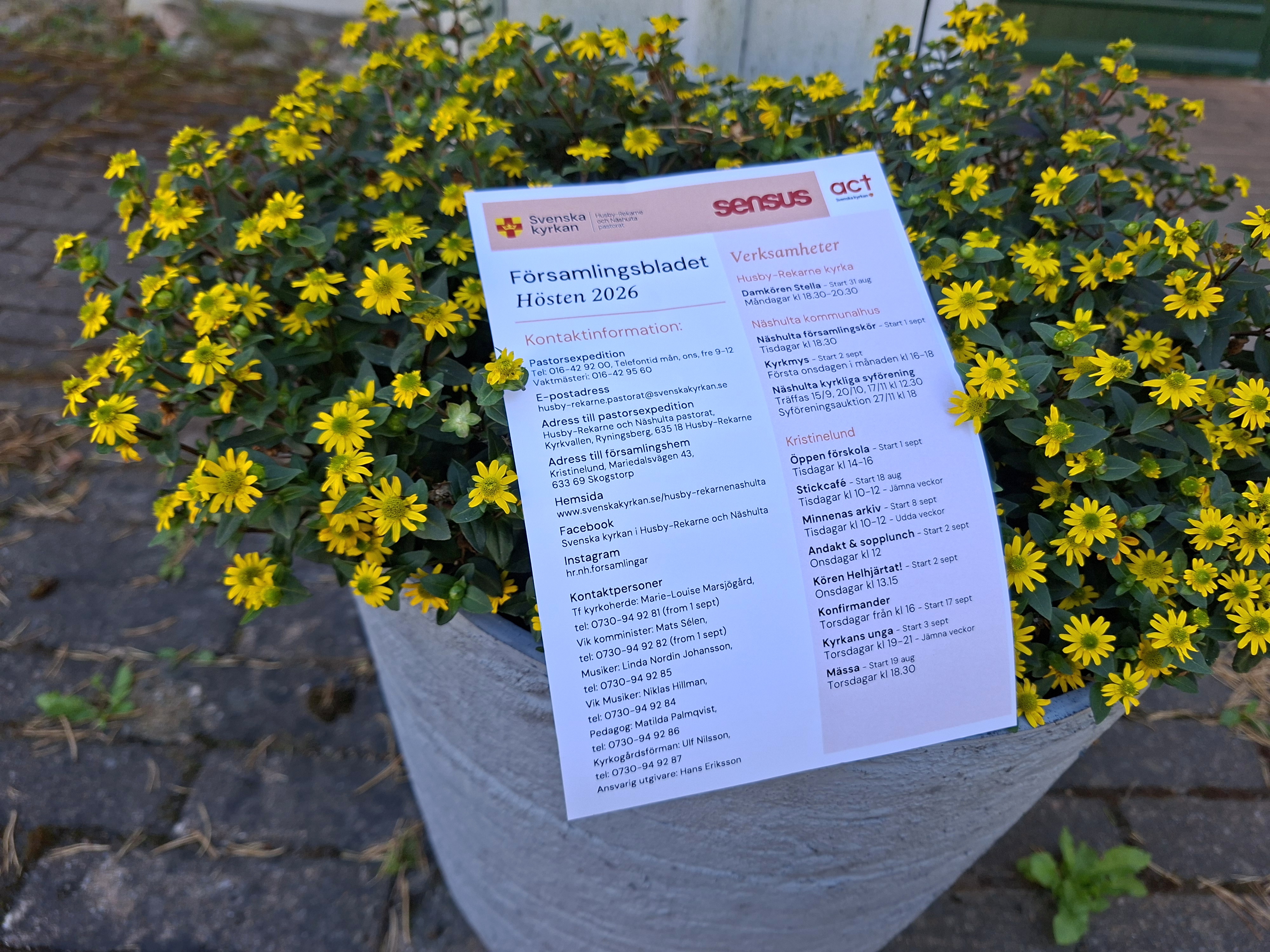 Församlingsblad lagd i blomma
