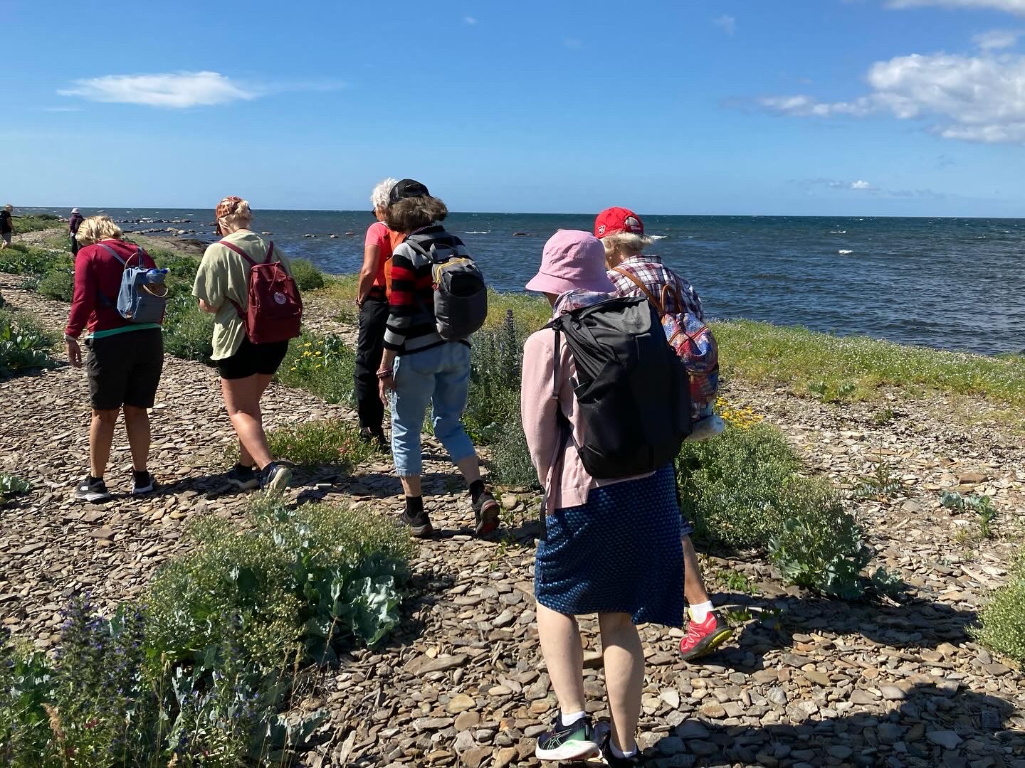 Vandring vid havet