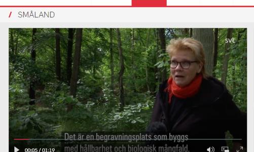 I början av juli gjorde Smålandsnytt ett besök på Norra kyrkogården för att visa den nya naturkyrkogården för alla tittare.
